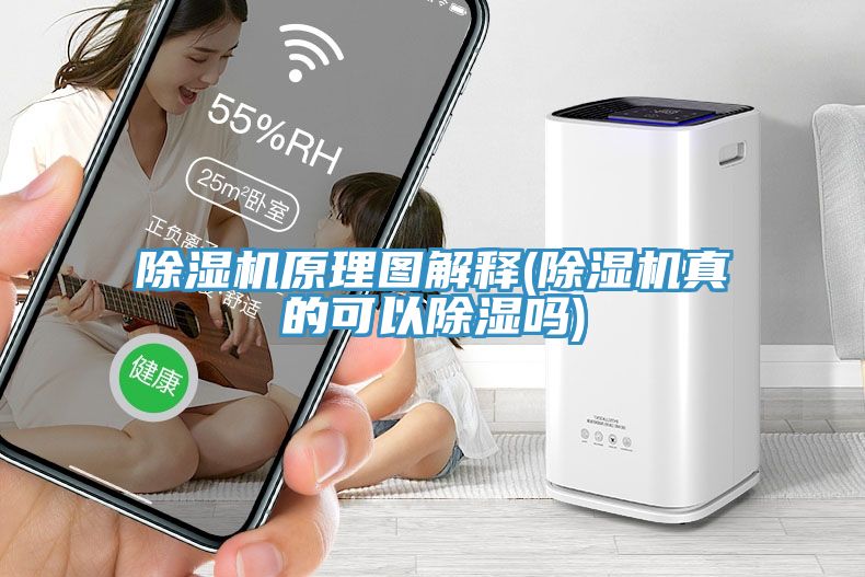 除湿机原理图解释(除湿机真的可以除湿吗)