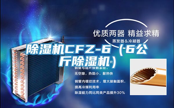 除湿机CFZ-6（6公斤除湿机）