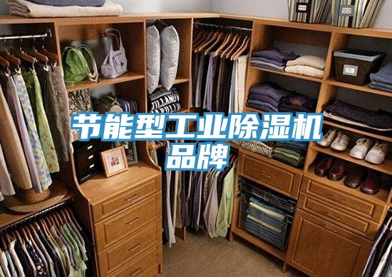 节能型工业除湿机品牌