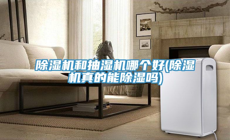 除湿机和抽湿机哪个好(除湿机真的能除湿吗)