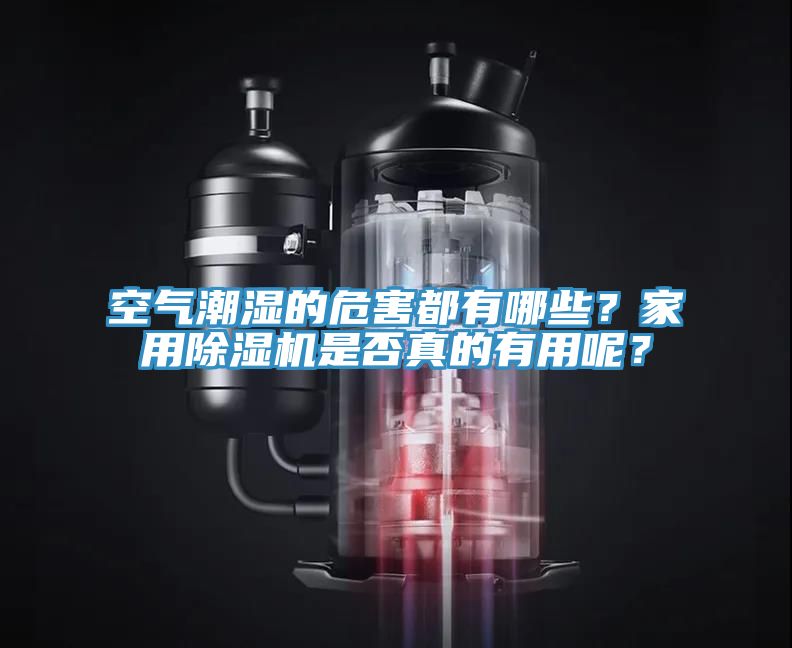 空气潮湿的危害都有哪些？家用除湿机是否真的有用呢？