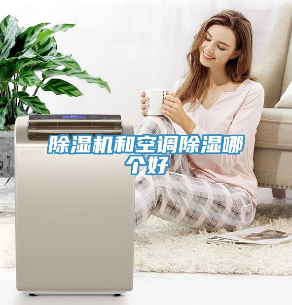 除湿机和空调除湿哪个好