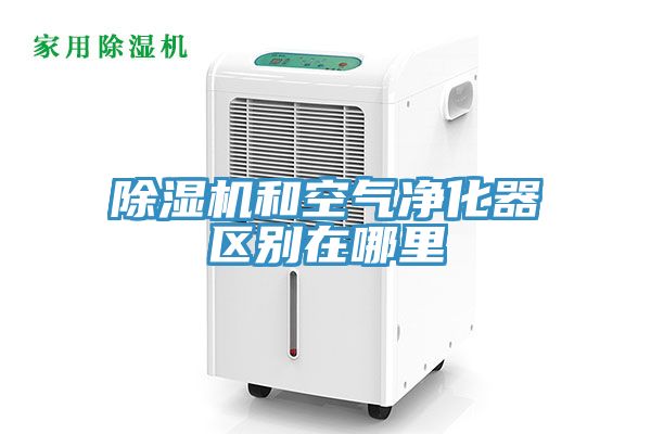 除湿机和空气净化器区别在哪里