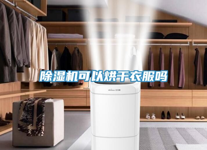 除湿机可以烘干衣服吗