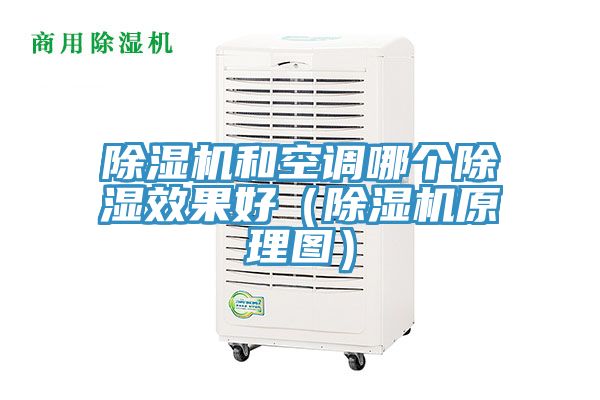 除湿机和空调哪个除湿效果好（除湿机原理图）
