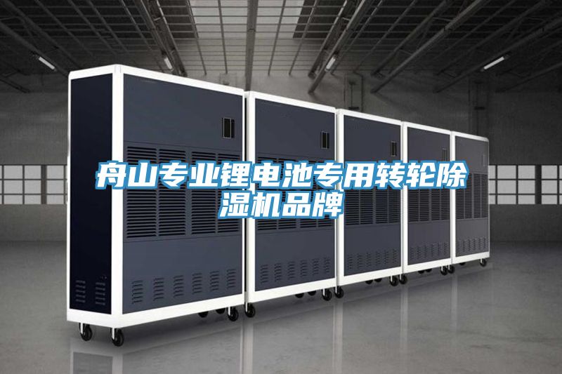 舟山专业锂电池专用转轮除湿机品牌