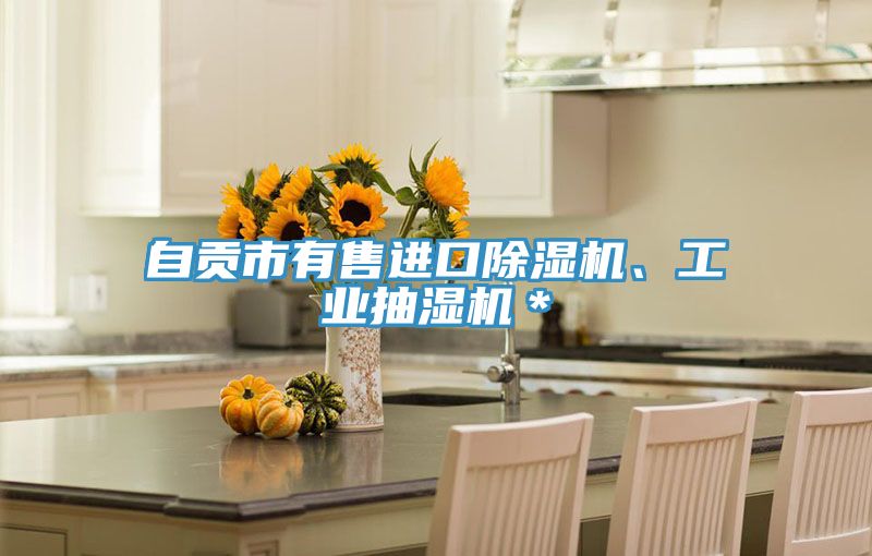 自贡市有售进口除湿机、工业抽湿机＊