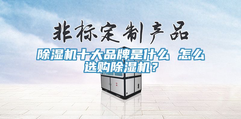 除湿机十大品牌是什么 怎么选购除湿机？
