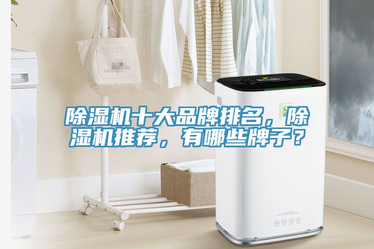 除湿机十大品牌排名，除湿机推荐，有哪些牌子？