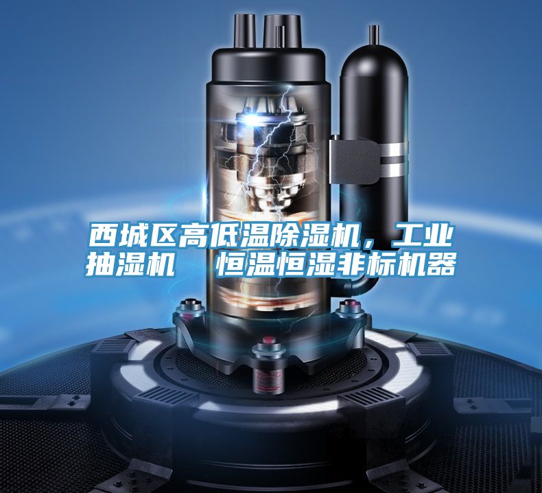 西城区高低温除湿机，工业抽湿机  恒温恒湿非标机器