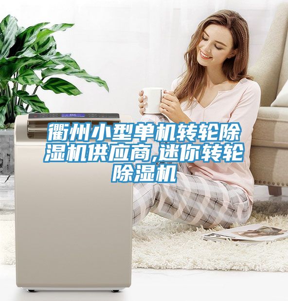 衢州小型单机转轮除湿机供应商,迷你转轮除湿机
