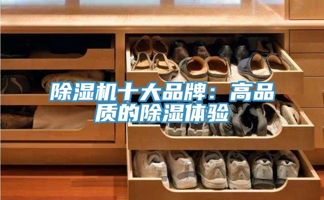 除湿机十大品牌：高品质的除湿体验