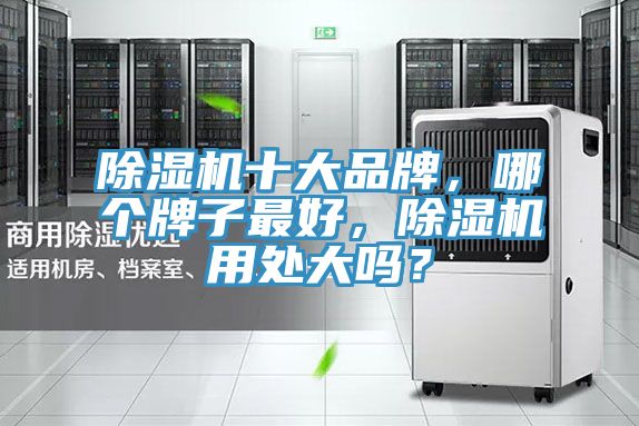 除湿机十大品牌，哪个牌子最好，除湿机用处大吗？