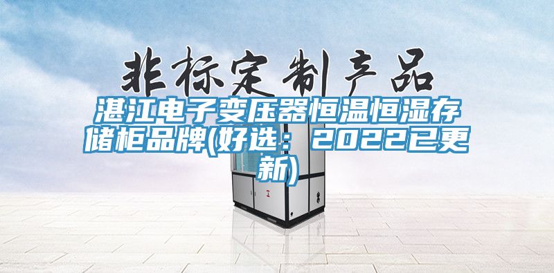 湛江电子变压器恒温恒湿存储柜品牌(好选：2022已更新)