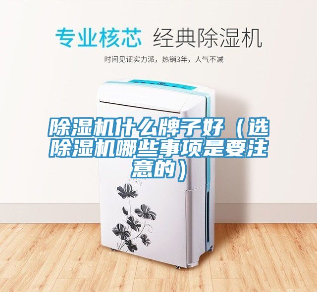 除湿机什么牌子好（选除湿机哪些事项是要注意的）