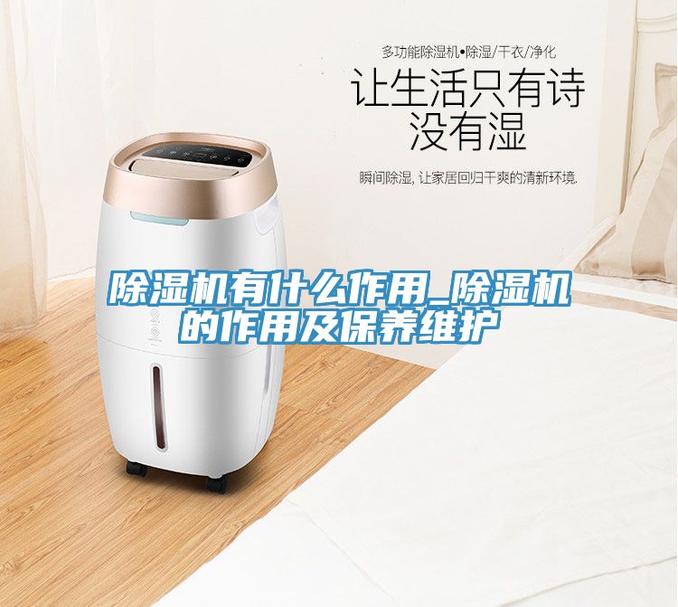 除湿机有什么作用_除湿机的作用及保养维护