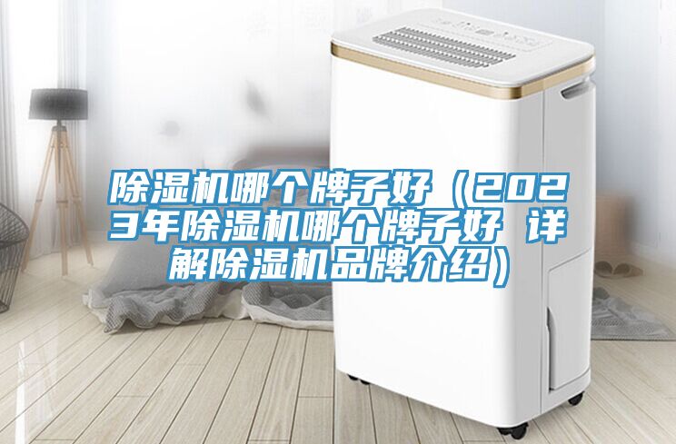 除湿机哪个牌子好（2023年除湿机哪个牌子好 详解除湿机品牌介绍）