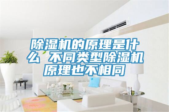 除湿机的原理是什么 不同类型除湿机原理也不相同