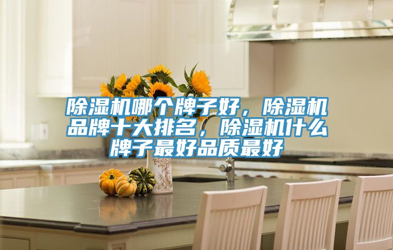 除湿机哪个牌子好，除湿机品牌十大排名，除湿机什么牌子最好品质最好