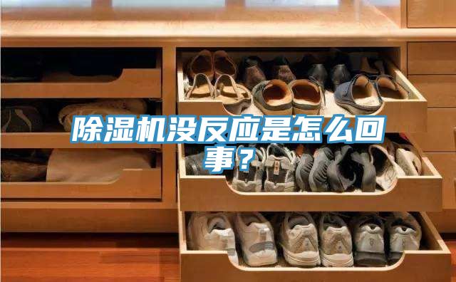 除湿机没反应是怎么回事？