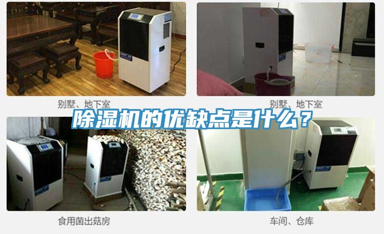 除湿机的优缺点是什么？