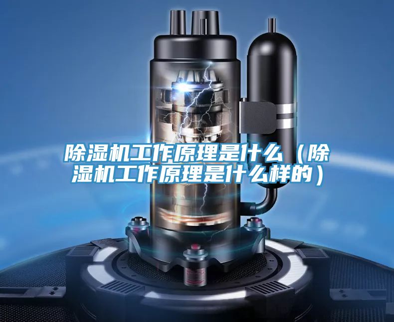 除湿机工作原理是什么（除湿机工作原理是什么样的）