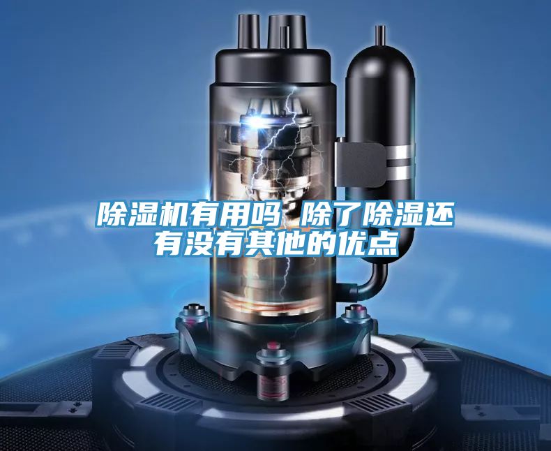 除湿机有用吗 除了除湿还有没有其他的优点