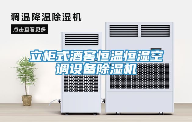 立柜式酒窖恒温恒湿空调设备除湿机