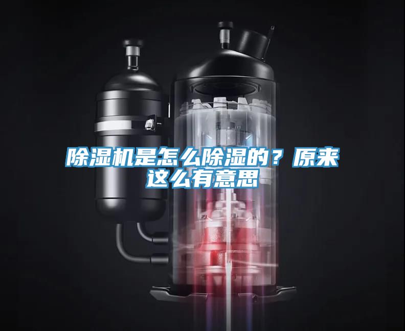 除湿机是怎么除湿的？原来这么有意思