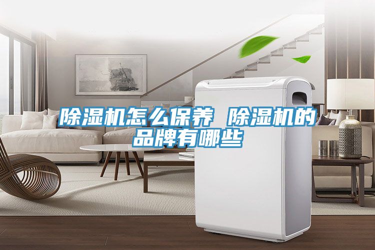 除湿机怎么保养 除湿机的品牌有哪些