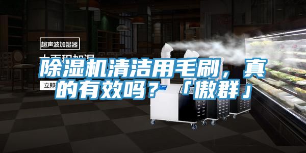 除湿机清洁用毛刷，真的有效吗？「傲群」