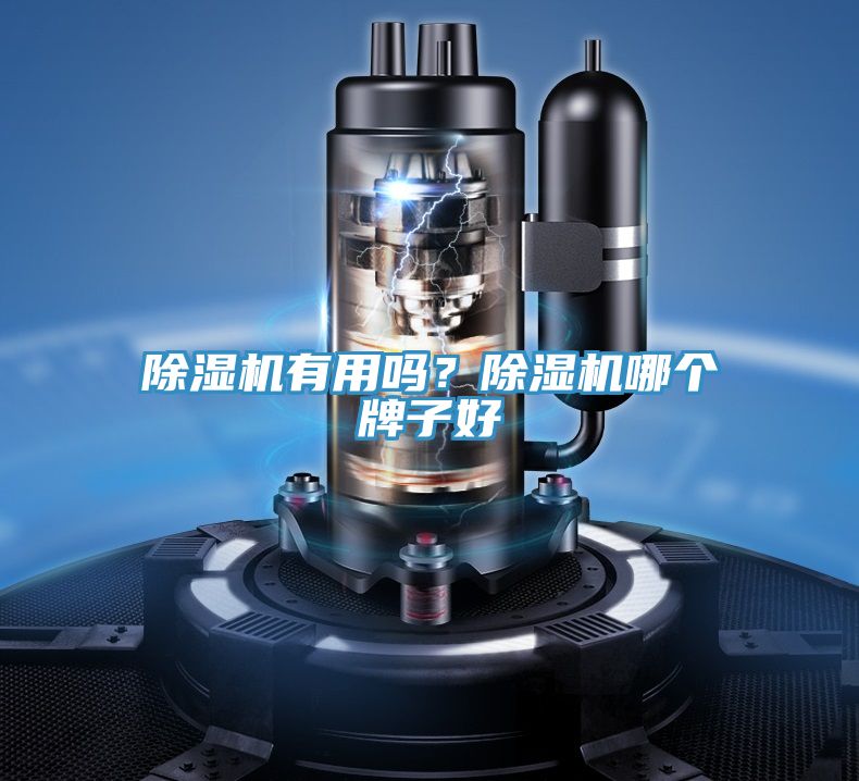 除湿机有用吗？除湿机哪个牌子好