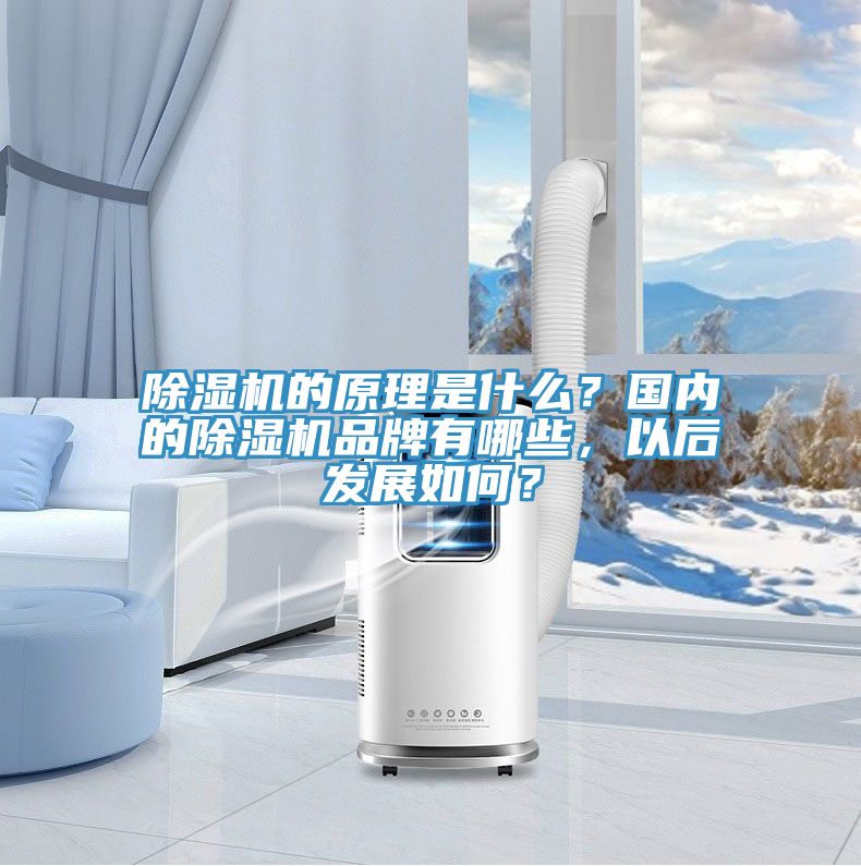 除湿机的原理是什么？国内的除湿机品牌有哪些，以后发展如何？