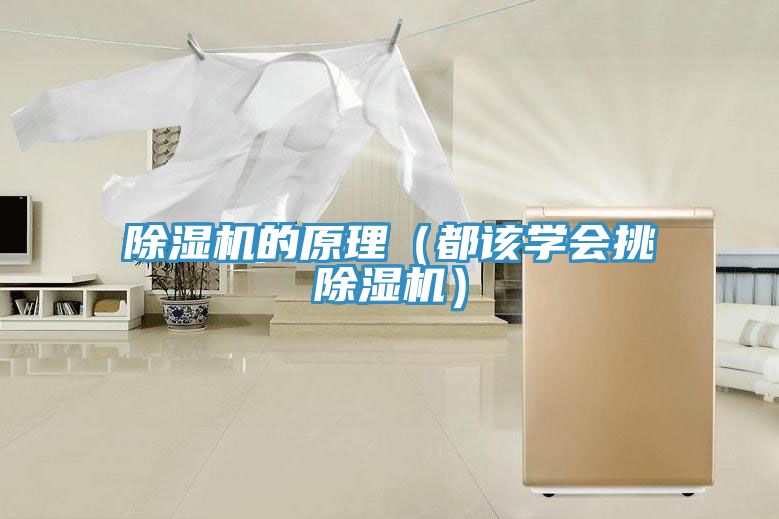 除湿机的原理（都该学会挑除湿机）