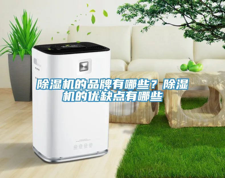 除湿机的品牌有哪些？除湿机的优缺点有哪些