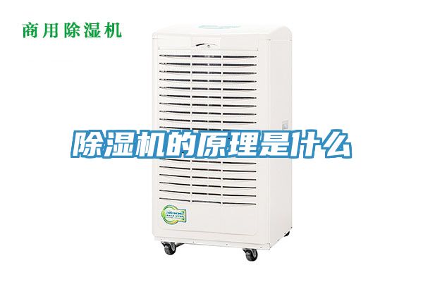 除湿机的原理是什么
