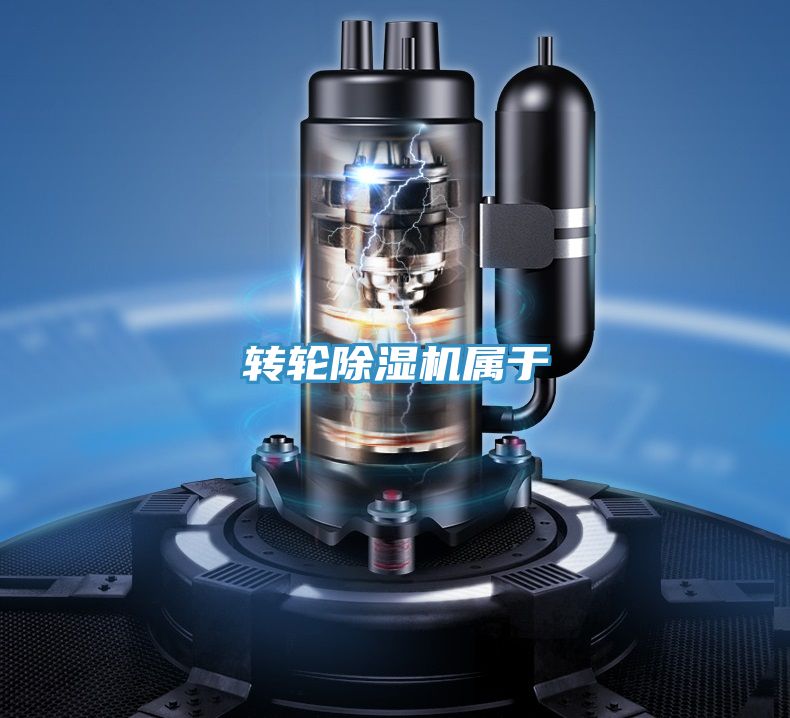 转轮除湿机属于