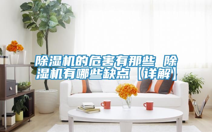 除湿机的危害有那些 除湿机有哪些缺点【详解】