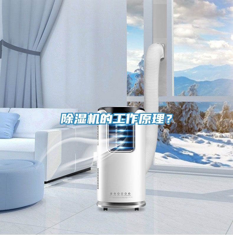 除湿机的工作原理？