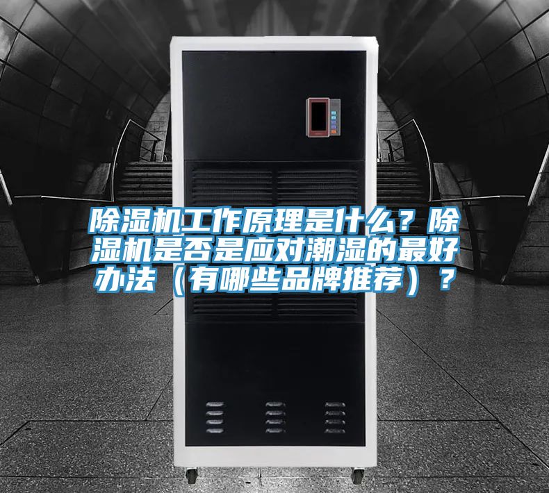 除湿机工作原理是什么？除湿机是否是应对潮湿的最好办法（有哪些品牌推荐）？