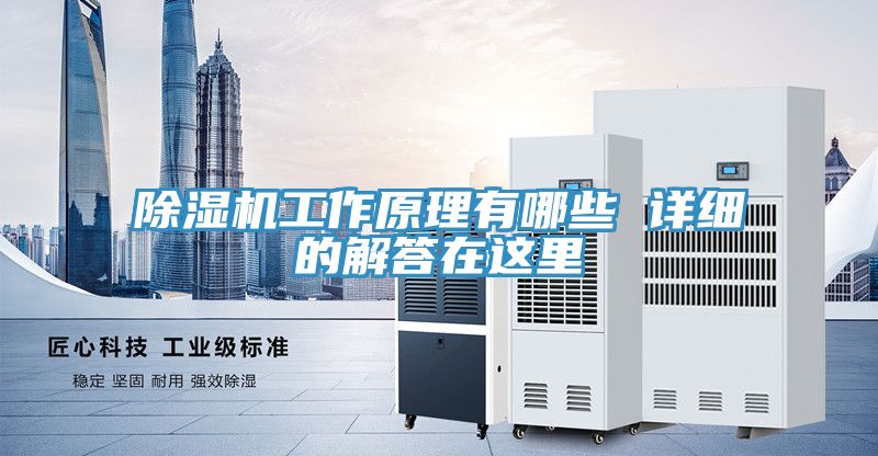 除湿机工作原理有哪些 详细的解答在这里