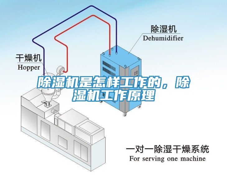 除湿机是怎样工作的，除湿机工作原理
