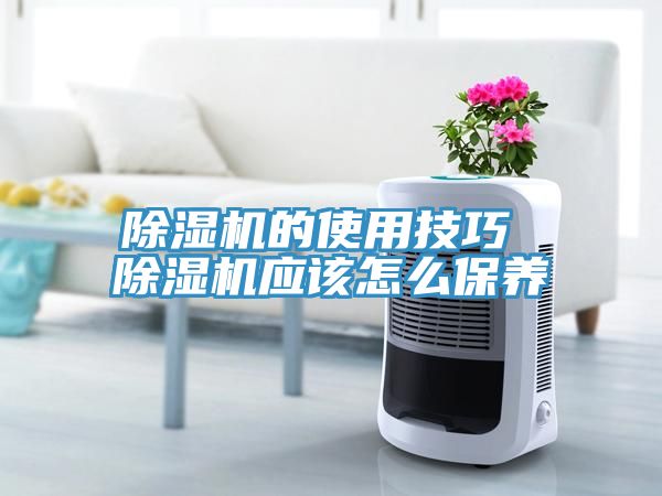 除湿机的使用技巧 除湿机应该怎么保养
