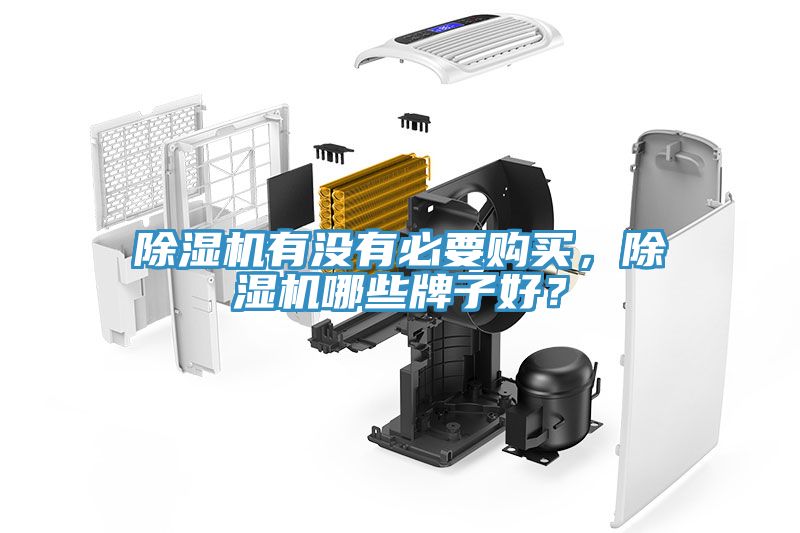 除湿机有没有必要购买，除湿机哪些牌子好？