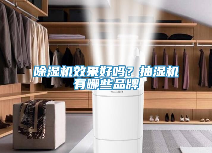 除湿机效果好吗？抽湿机有哪些品牌