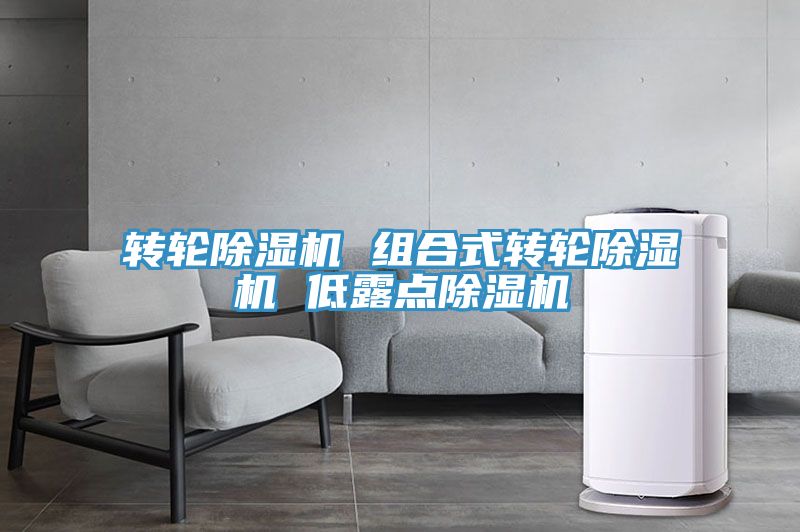 转轮除湿机 组合式转轮除湿机 低露点除湿机