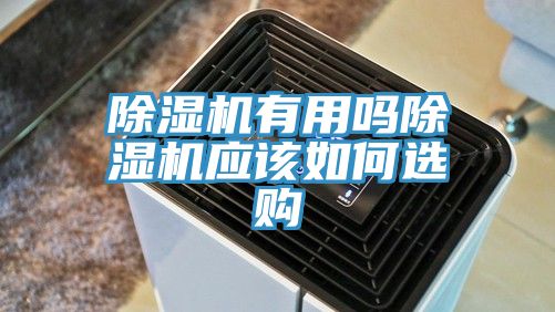除湿机有用吗除湿机应该如何选购