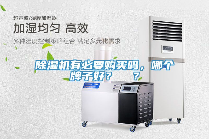 除湿机有必要购买吗，哪个牌子好？  ？