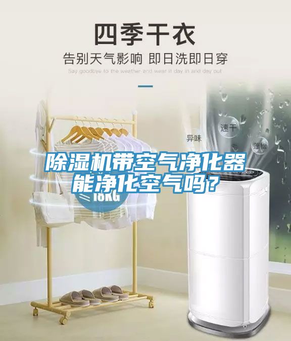 除湿机带空气净化器能净化空气吗？