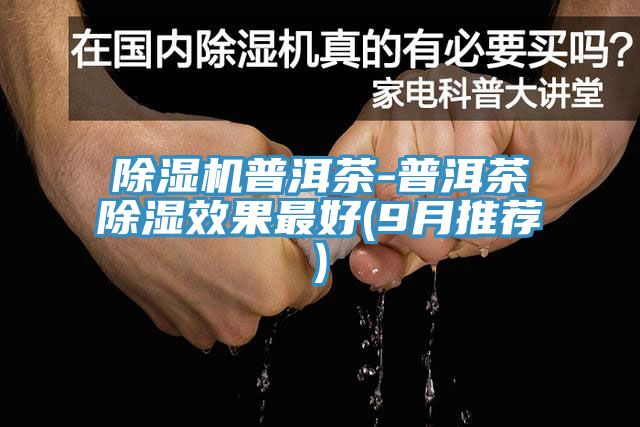 除湿机普洱茶-普洱茶除湿效果最好(9月推荐)